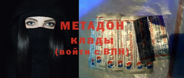 шишки Арсеньев