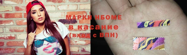 шишки Арсеньев