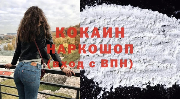 шишки Арсеньев