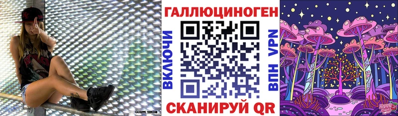 Псилоцибиновые грибы Psilocybe  что такое наркотик  KRAKEN ссылки  Скопин 